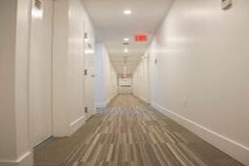 Casa Boutique Hotel Miami Beach Esterno foto